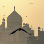 Explorer le Taj Mahal